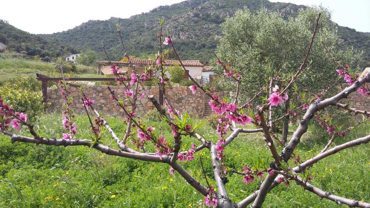 La Casetta Rosa Tertenìa Exteriér fotografie