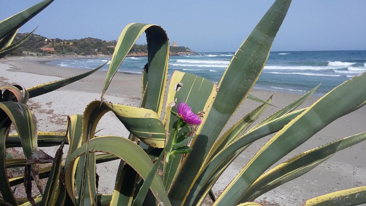 La Casetta Rosa Tertenìa Exteriér fotografie